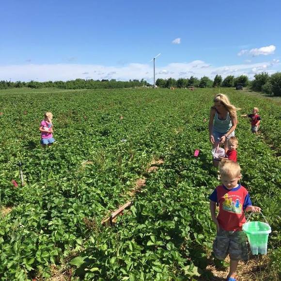 Meet your Posher, Shawna - Picture 1 of 1